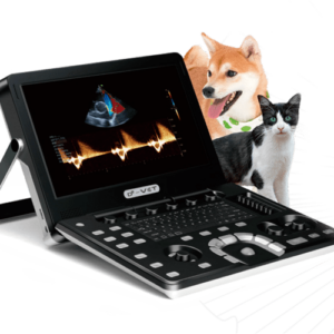 D2-Vet Laptop Ultrasound Scanner